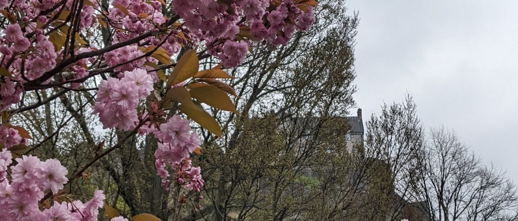 Edinburgh spring