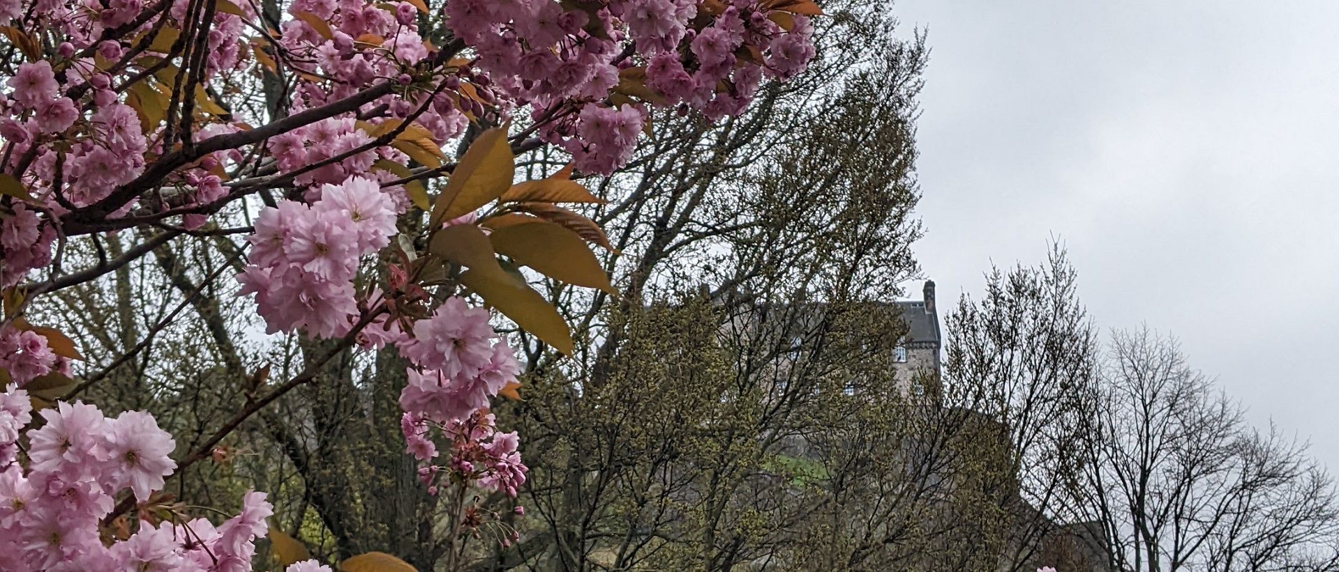 Edinburgh spring